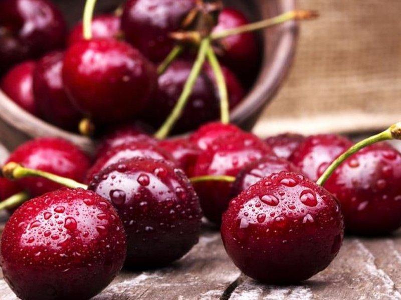 Вишня купить саженцы из питомника в Хасавюрте
